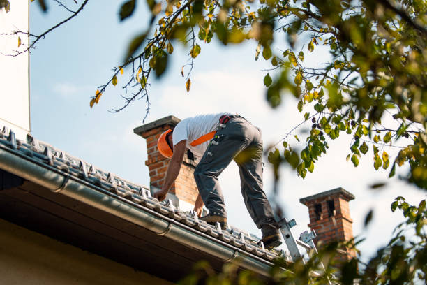 Best Storm Damage Roof Repair  in Puyallup, WA