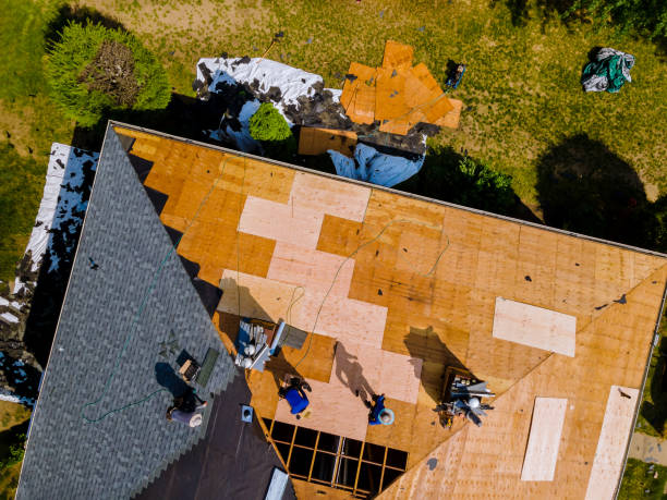 Best Storm Damage Roof Repair  in Puyallup, WA