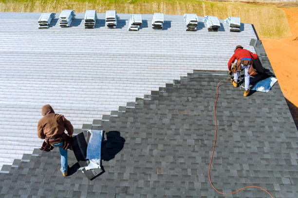 Roof Gutter Cleaning in Puyallup, WA